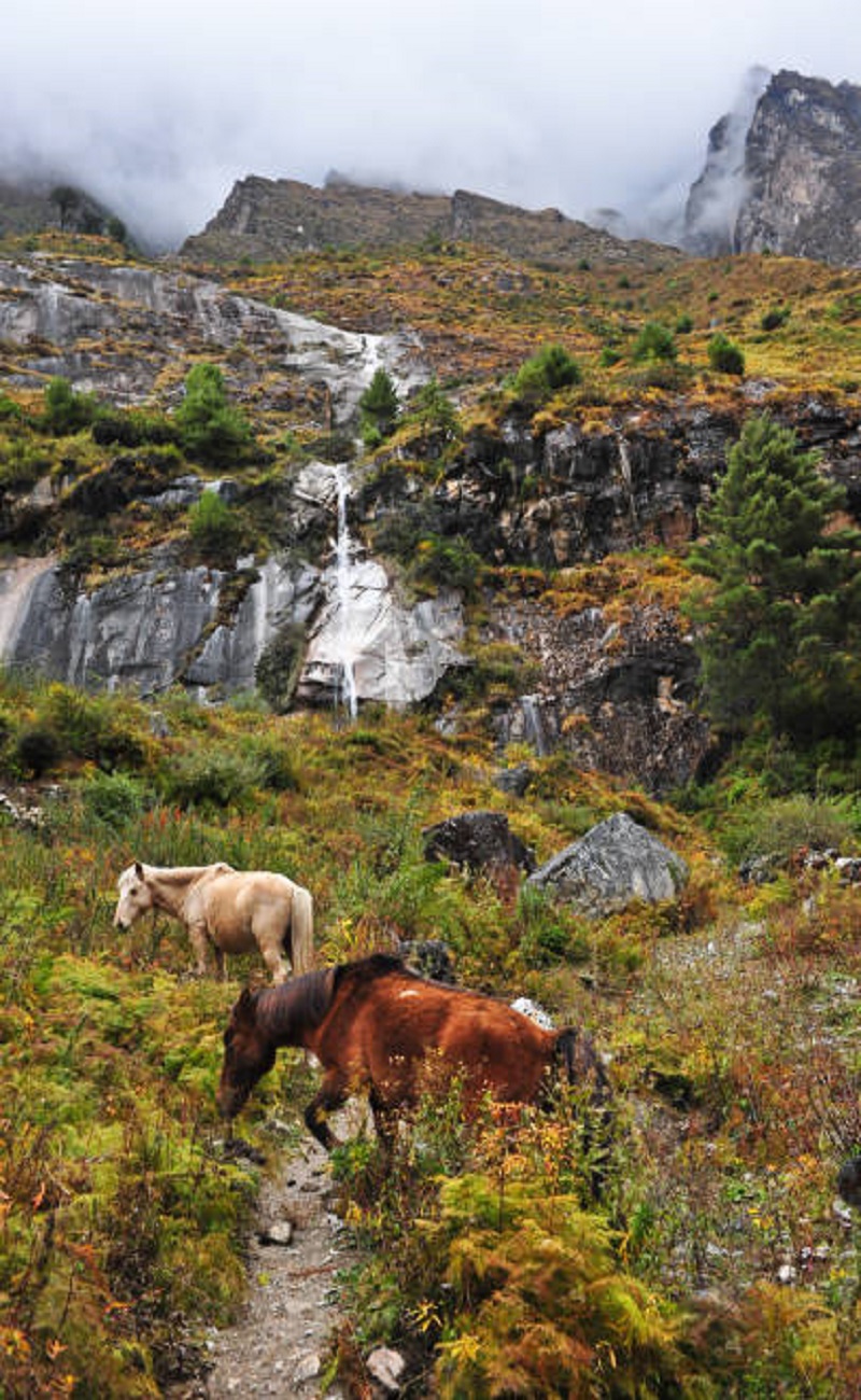 Tsum Valley Trek